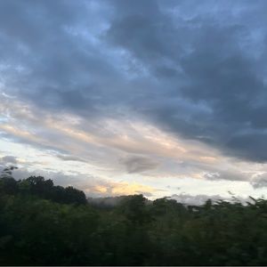 Meet your Posher, Savannah